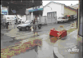 5.gif